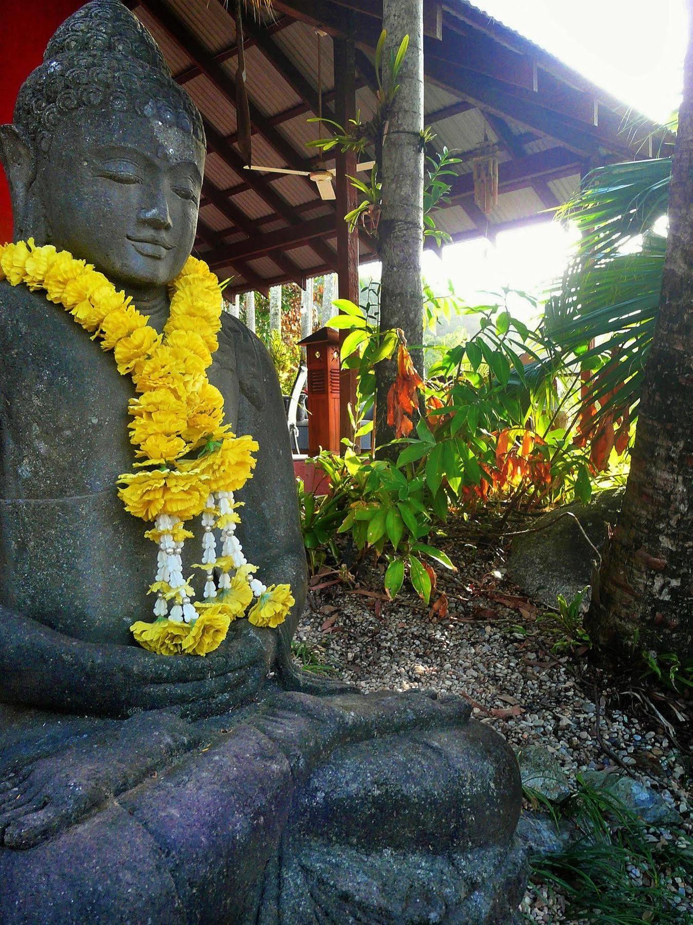 Mai Tai Resort Cassowary Exterior photo